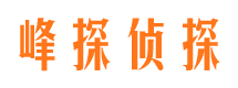 冷湖侦探公司